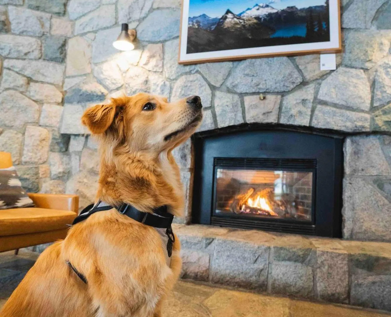 Adara Hotel Whistler